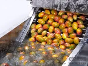 Linia de procesare a mango